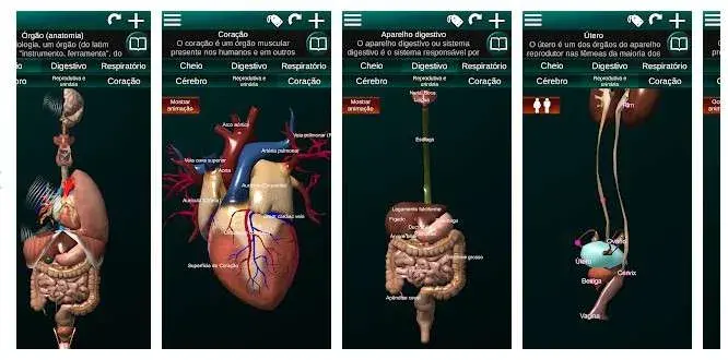 ANATOMIA DO CORAÇÃO Quiz