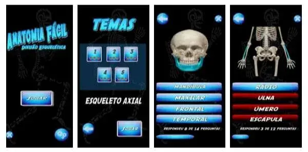 Anatomia do úmero Quiz